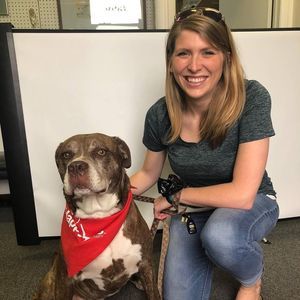 Meet your Posher, Alex